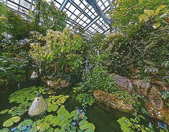 芦屋プラン株式会社 七夕（たなばた）2 Copilot